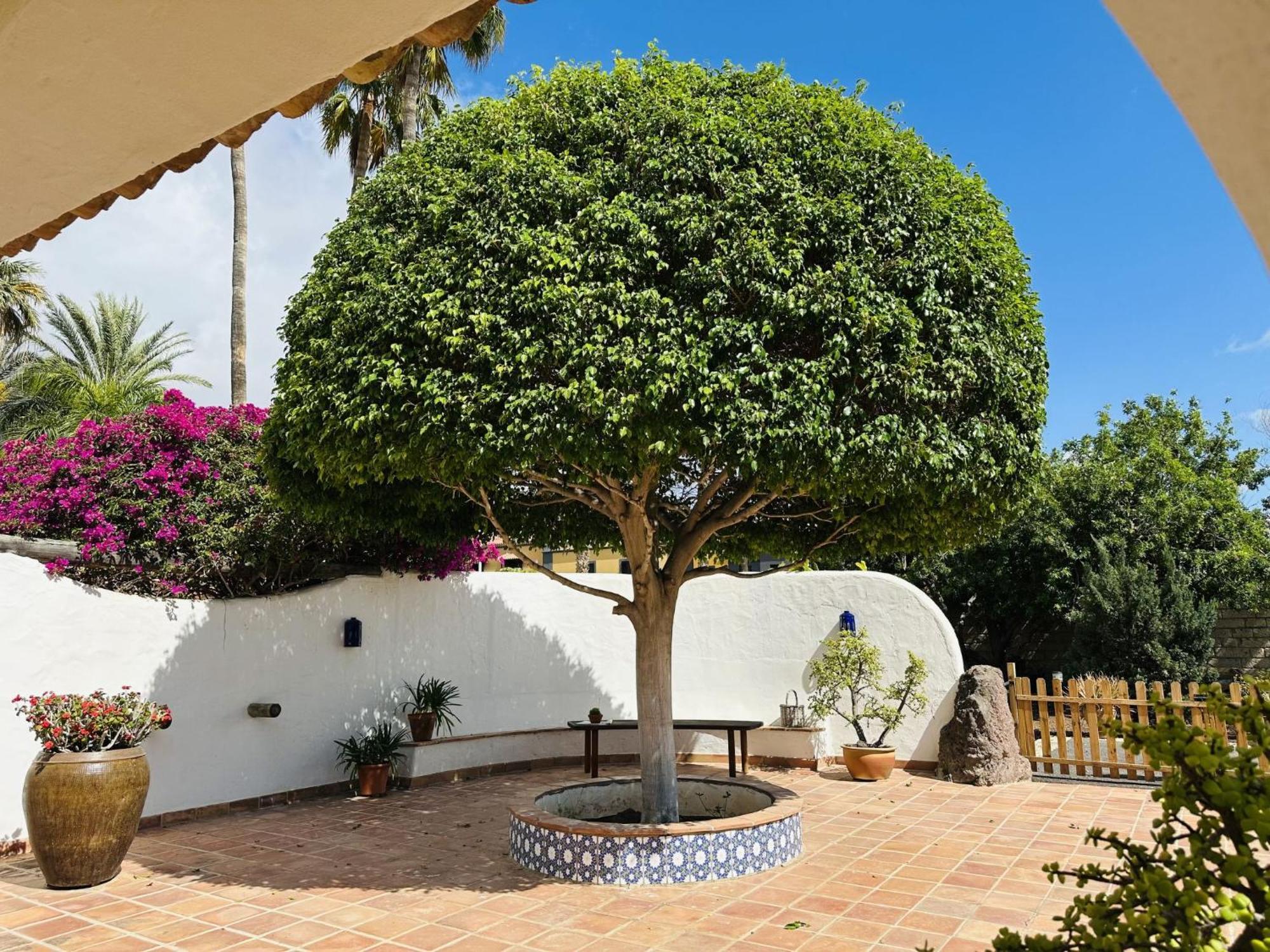 Villa Finca Ingala By Interhome Costa Adeje  Zewnętrze zdjęcie